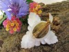 Antique Cara China Staffordshire shabby flower brooch